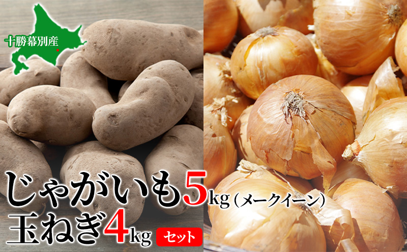 じゃがいも5kg・玉ねぎ4kgセット（メークイン）【十勝幕別 北海道ホープランド農場】 たまねぎ 野菜 詰合せ 