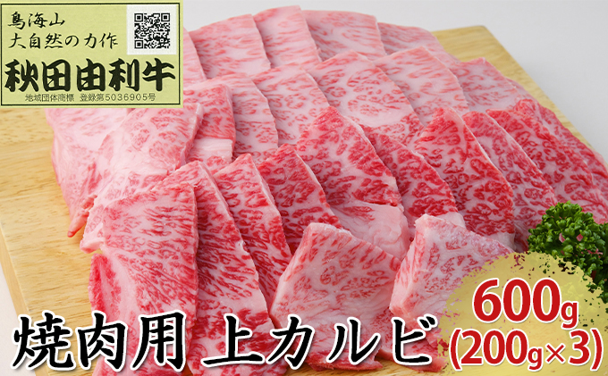 秋田由利牛 焼肉用 上カルビ 600g（200g×3パック 焼き肉） バラ(カルビ) お肉 牛肉 バーベキュー 
