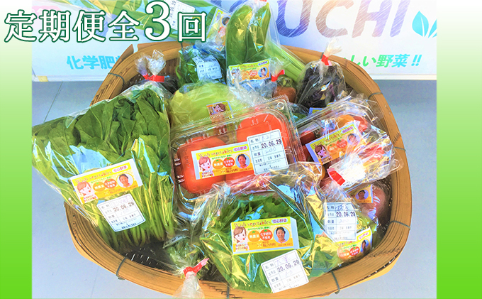 『定期便』[栽培期間中化学肥料・農薬不使用]季節野菜の詰め合わせ全3回