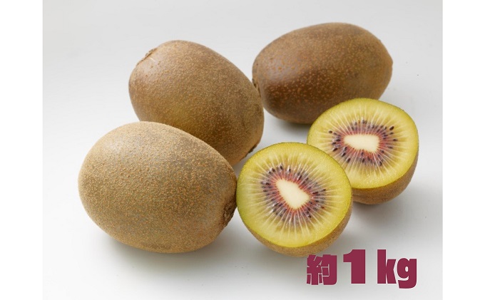 【香川県土庄町】【 小豆島 】 さぬきエンジェル スイートキウイ 約1kg 化粧箱 フルーツ 果物 キウイ キウイフルーツ さぬき くだもの 国産 香川 香川県 土庄 土庄町