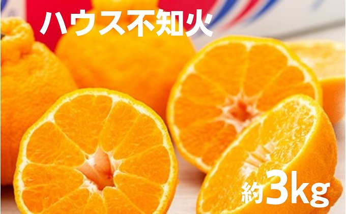 【香川県土庄町】【 小豆島 】 ハウス 不知火 約3kg 化粧箱 しらぬい 柑橘 果物 フルーツ くだもの 国産 香川 香川県 土庄 土庄町