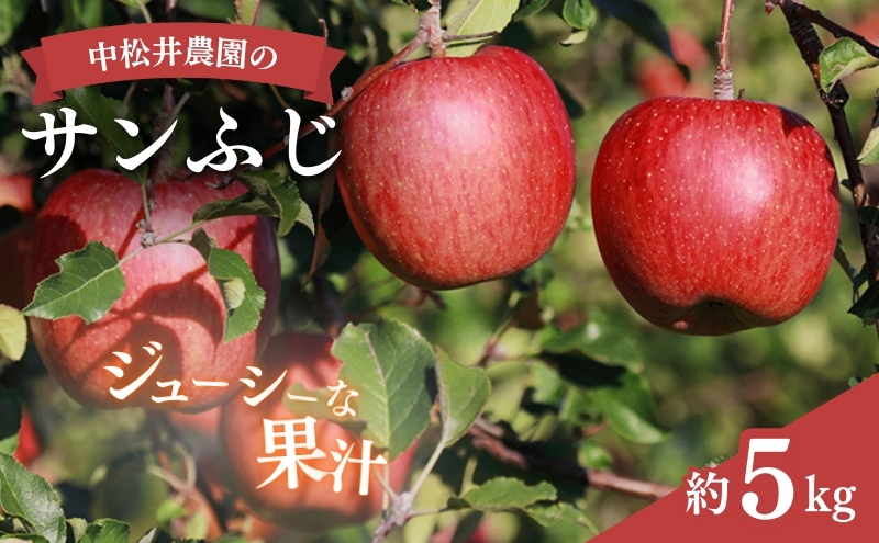 中松井農園のサンふじ　約5kg 長野 小諸 信州 リンゴ 林檎 果物類 りんご