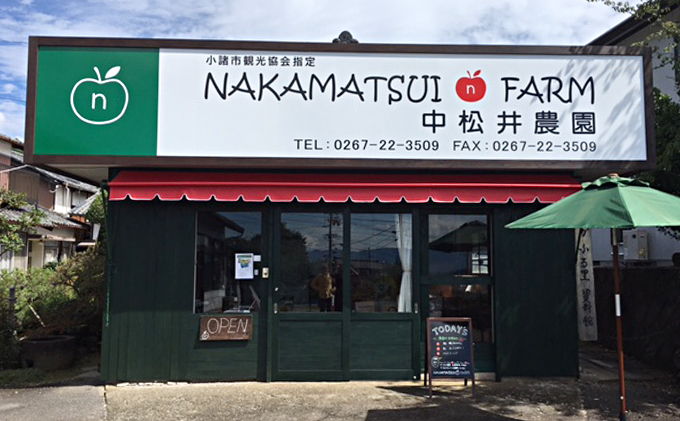 中松井農園のサンふじ　約10kg 長野 小諸 信州 リンゴ 林檎 果物類 りんご