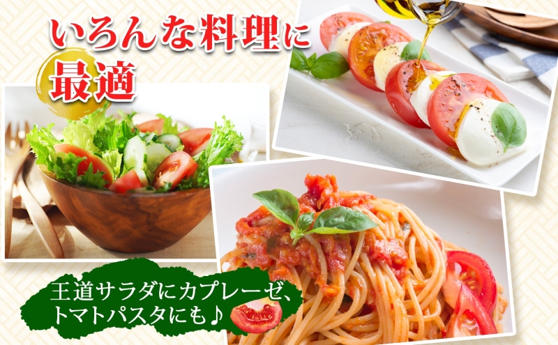 トマトぶつけ野郎です！ 楽天市場】クラッシュトマト(袋入り) 300g【ヒカリ】【数量限定