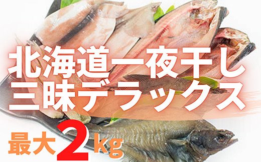 【北海道鹿部町】北海道一夜干し三昧デラックス 最大2kg 計10尾 訳あり 一夜干し 事業者支援