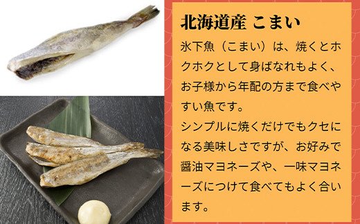 北海道一夜干し三昧デラックス 最大2kg 計10尾 訳あり 一夜干し 事業者支援