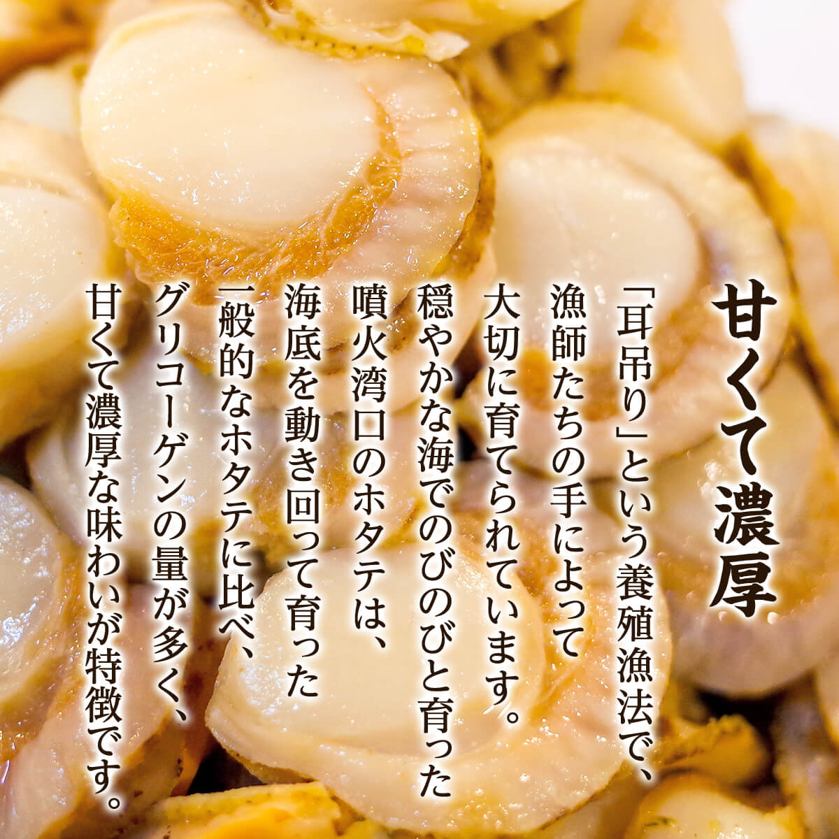 【北海道産】ボイルベビーホタテ　SSサイズ 3kg（1kg×3袋、1袋あたり200～300個） 加熱用 ほたて ホタテ 帆立