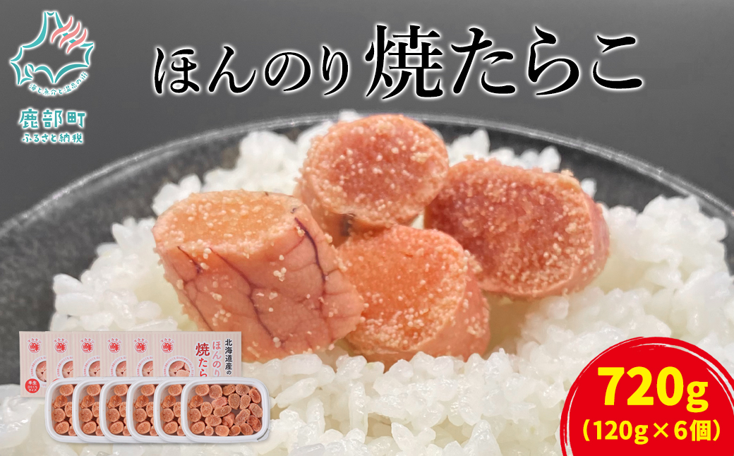 【北海道鹿部町】【丸鮮道場水産】北のハイグレード食品2021認定 北海道産 ほんのり焼たらこ 120g×6個(720g) たらこ タラコ