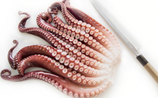 【緊急支援品】北海道産たこわさび 5パック 事業者支援 中国禁輸措置