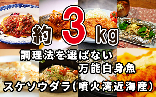 【緊急支援品】楽しみ方は10通り！メニューに困らない万能白身魚 すけそうだら 約3kg 事業者支援 中国禁輸措置