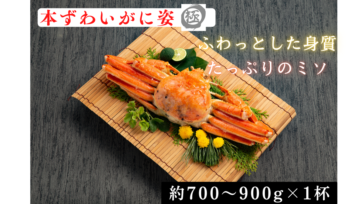 【北海道紋別市】13-359 本ずわいがに姿 大型サイズ1杯