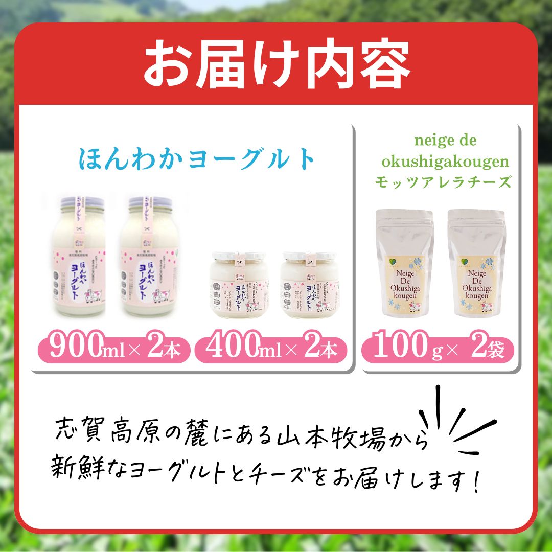 志賀高原で育った ほんわかヨーグルト・チーズセット 乳製品 加工食品 