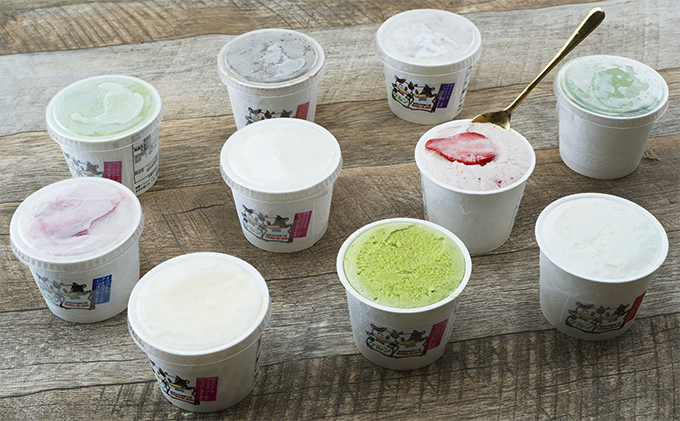 オリジナルジェラートアイス10個セット（7種） お菓子 カップ 