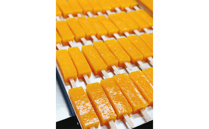 くずバー南濃みかん12本セットC お菓子 アイス ジェラート シャーベット アイスキャンディー 