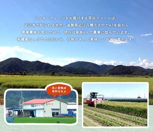 【新米】【7年産】近江米にこまる白米5kg【V017W】