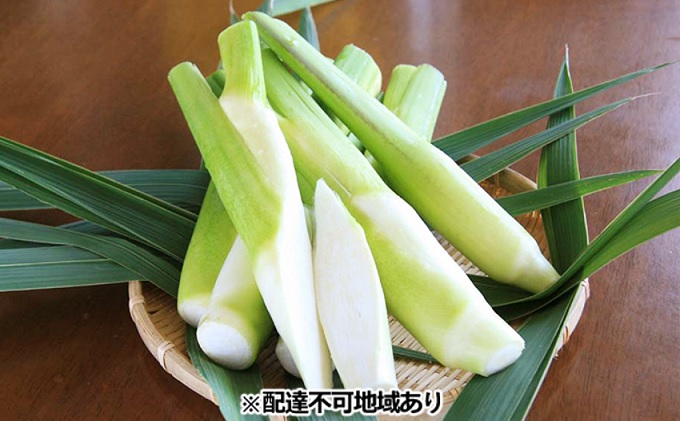 里庄 まこもたけ （1.0kg）【2025年10月上旬～2026年1月下旬出荷】 野菜 マコモダケ マコモ 中華料理 天ぷら 高級食材 送料無料 里庄町