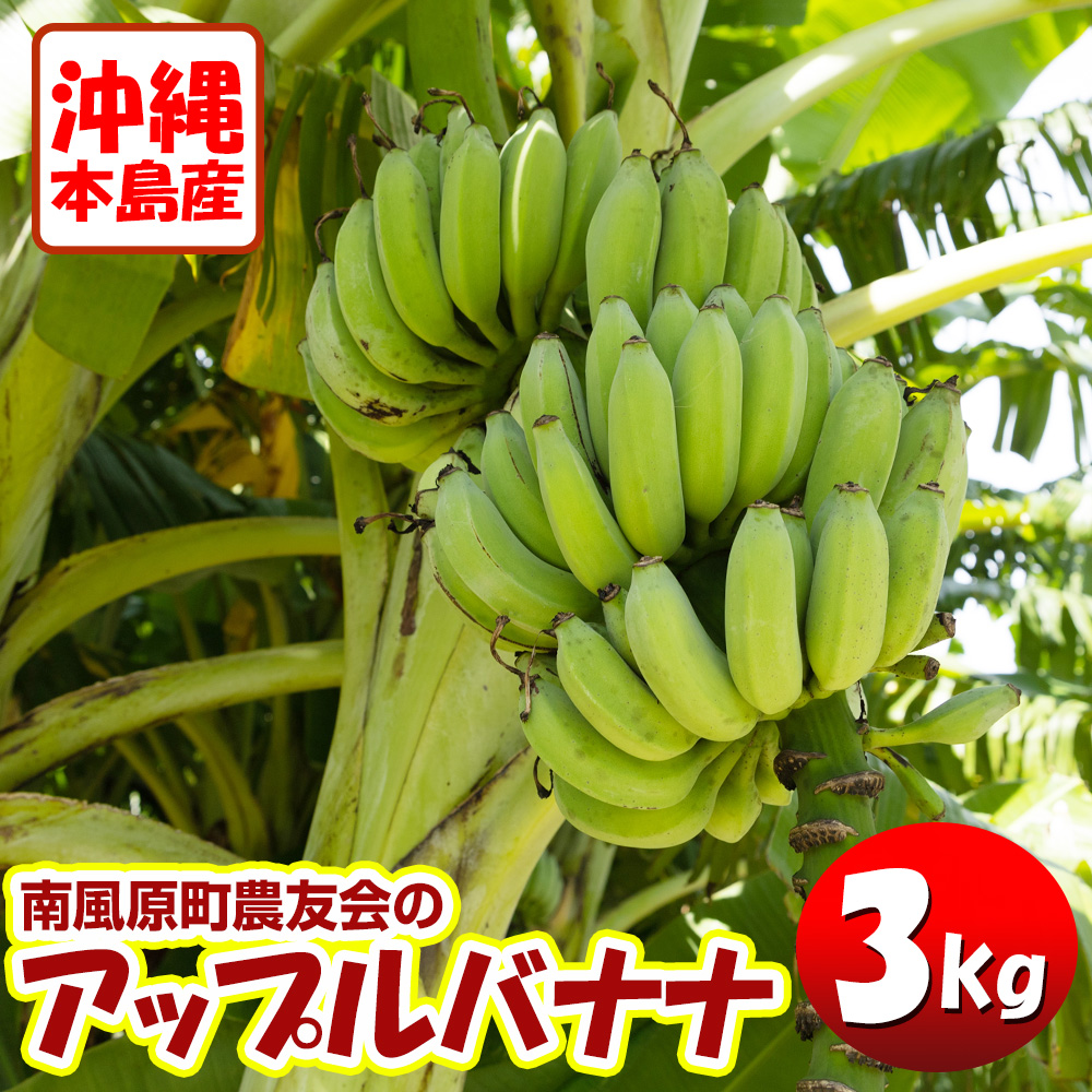 【希少】沖縄本島産 南風原町農友会の「アッ
