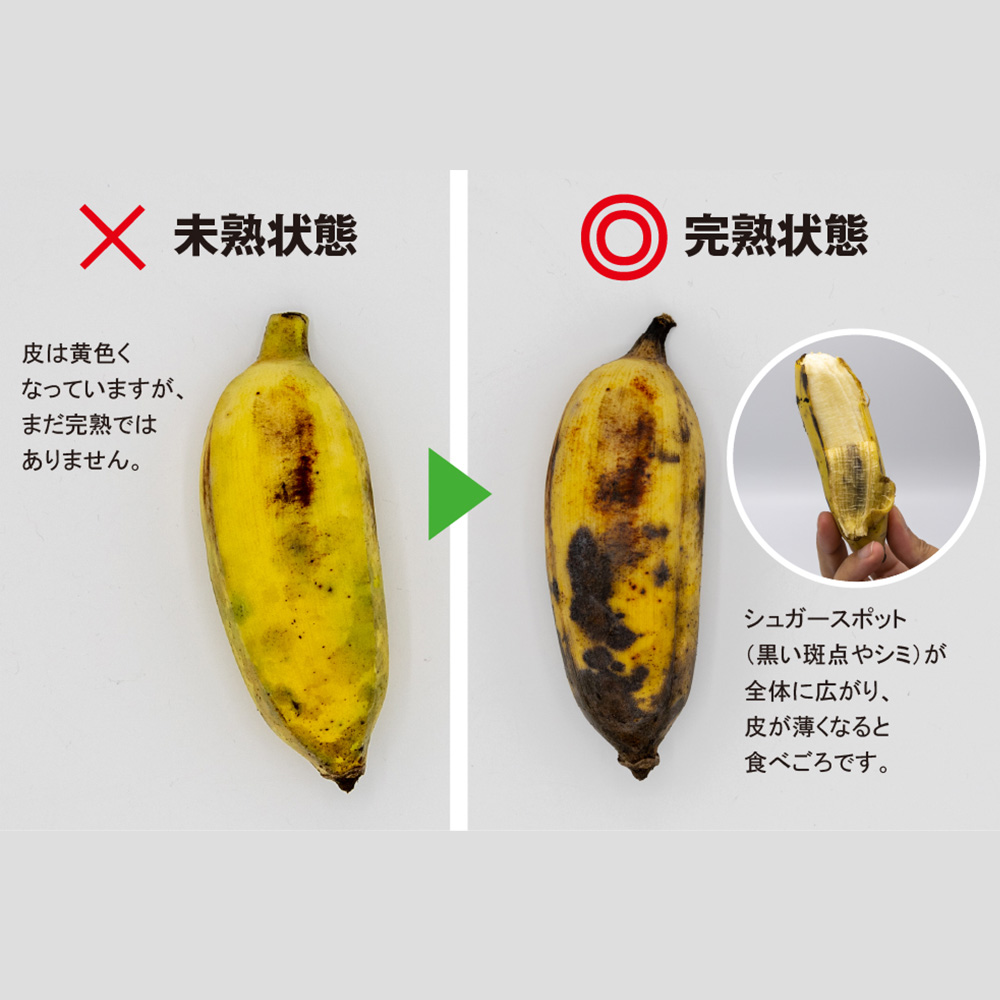 沖縄県南風原町のふるさと納税 【希少】沖縄本島産 南風原町農友会の「アップルバナナ」　3kg