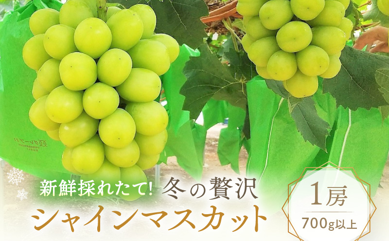 yRzy2025Ns\z Ԃǂ ~ґ VC}XJbg 1[(700gȏ)y11271212̊Ԃɔz  uhE RY t[c ʕ ʌ Ԍ R 