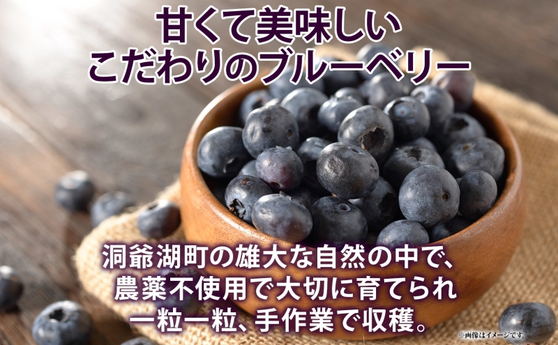 北海道産 ブルーベリー 無農薬 4kg 送料込 フルーツ 果物 北海道産 ブルーベリー 無農薬 4kg 送料込 フルーツ 果物