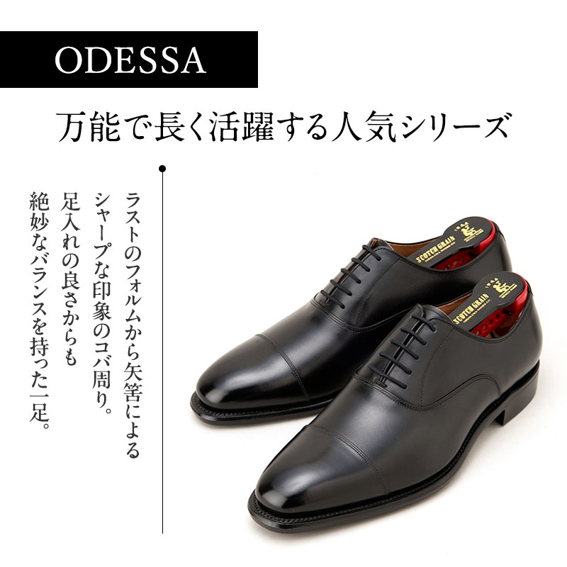 スコッチグレイン 紳士靴 「オデッサ」 NO.916 メンズ 靴 シューズ ビジネス ビジネスシューズ  ビジネス靴 ストレートチップ ファッション 