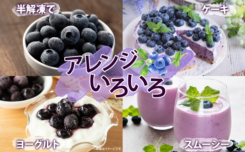 北海道 訳あり ブルーベリー 500g 2袋 計1kg 2025年 7月下旬より順次お届け 果物 果実 フルーツ 新鮮 国産 ベリー 農作物 お取り寄せ グルメ ギフト 冷凍 長期 保存 とうやMarche マルシェ 