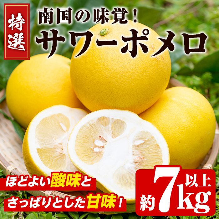 先行予約受付中！2026年2月下旬以降発送予定＞数量限定！特選