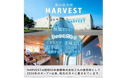 鹿児島県阿久根市のふるさと納税 九州産！骨付き豚モモ(約6～7kg) 国産 豚肉 骨付き 豚もも モモ ブロック 真空 生ハム加工 丸焼き【三九】akn006-06