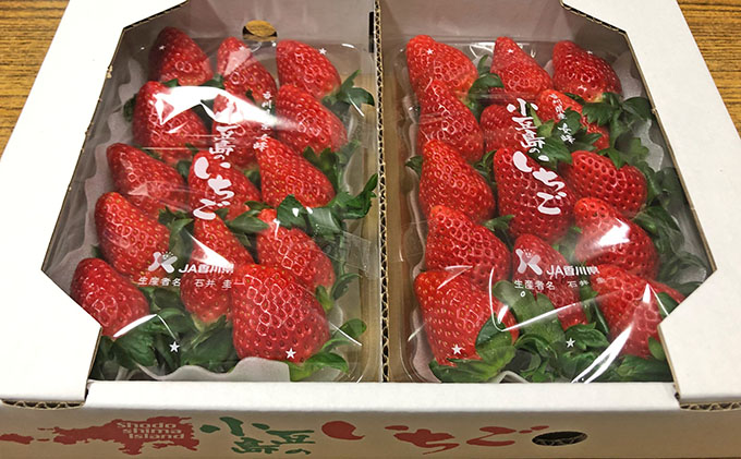 [ 小豆島 ][3月からの発送]小豆島のいちご(女峰)DXパック (250g×2パック入り) 果物類 苺 イチゴ