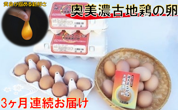 【岐阜県海津市】卵 定期便 3ヶ月 神代の味の再現 奥美濃古地鶏の卵 鶏卵 たまご 玉子 お楽しみ