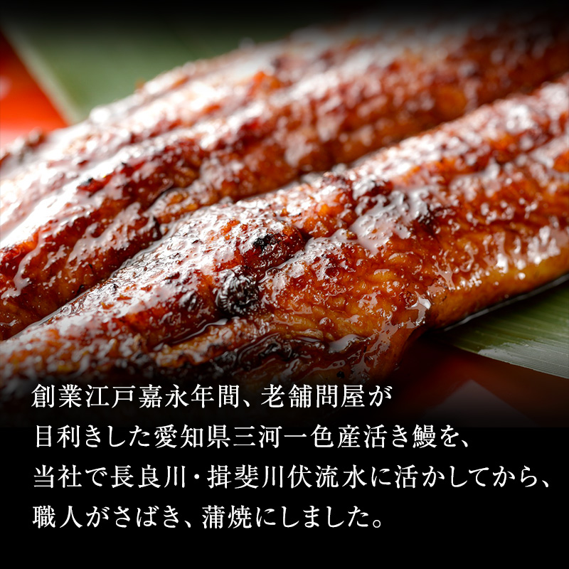 うなぎ蒲焼バラエティセット（三河産）【3ケ月連続お届け】 魚貝類 ウナギ 鰻 