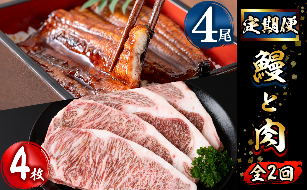鹿児島県志布志市のふるさと納税 【定期便全2回】鰻と肉の定期便！ステーキ4枚と鰻蒲焼4尾をお届け！ t0054-004