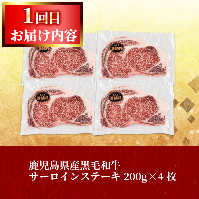鹿児島県志布志市のふるさと納税 【定期便全2回】鰻と肉の定期便！ステーキ4枚と鰻蒲焼4尾をお届け！ t0054-004