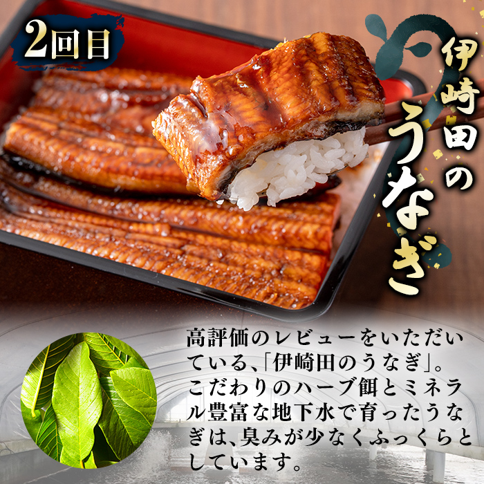 鹿児島県志布志市のふるさと納税 【定期便全2回】鰻と肉の定期便！ステーキ4枚と鰻蒲焼4尾をお届け！ t0054-004