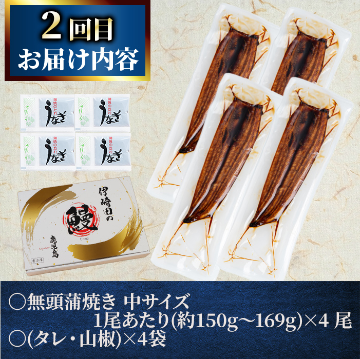 鹿児島県志布志市のふるさと納税 【定期便全2回】鰻と肉の定期便！ステーキ4枚と鰻蒲焼4尾をお届け！ t0054-004