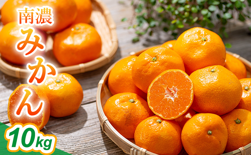 y򕌌CÎszZ݂10kg ݂  ʕ k ~J t[c