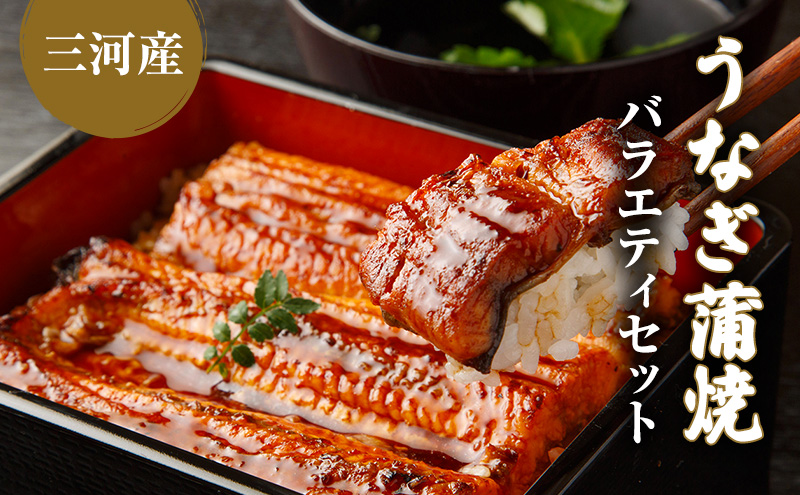 【岐阜県海津市】うなぎ蒲焼バラエティセット(三河産) 魚貝類 ウナギ 鰻