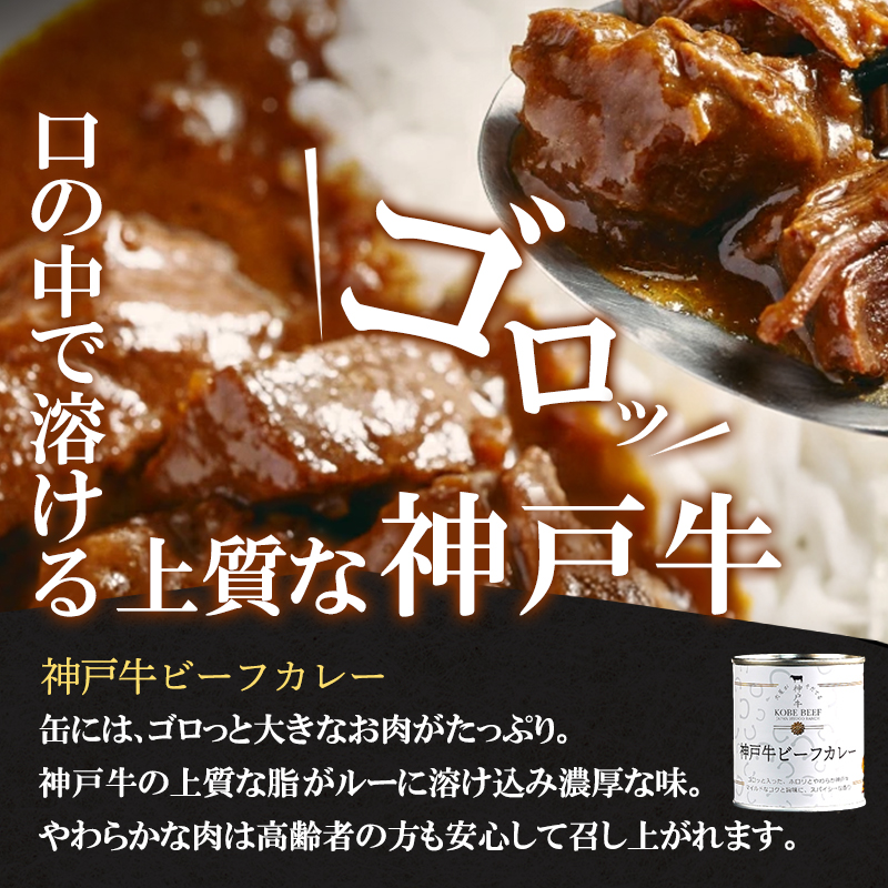 神戸牛カレー ビーフシチュー タンカレー 計4缶 缶詰 神戸牛 レトルトカレー 年内配送 within2025