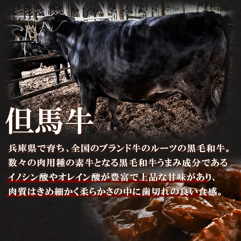 神戸牛カレー ビーフシチュー タンカレー 計4缶 缶詰 神戸牛 レトルトカレー 年内配送 within2025