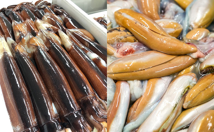 塩辛 珍味 セット 無添加 昭和の塩辛 イカ墨塩辛 詰め合わせ 青森 いか イカ いか塩辛 イカスミ イカ墨 海鮮 魚介類 魚介 海産物 おつまみ おつまみセット 惣菜 冷凍 青森県 ※ ご入金確認後 3ヶ月以内の発送になります。 青森県鰺ヶ沢町 