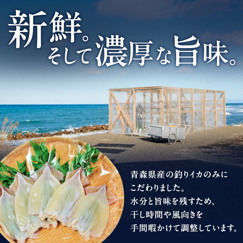 イカ 青森県産 一本釣りいか 使用 鰺ヶ沢 名物 天日生干しイカ セット （1.8kg以上8枚～12枚入り） いか 干物 干物セット するめ スルメ スルメイカ 海鮮 魚介類 魚介 海産物 ※ ご入金確認後 3ヶ月以内の発送になります。 青森県鰺ヶ沢町 