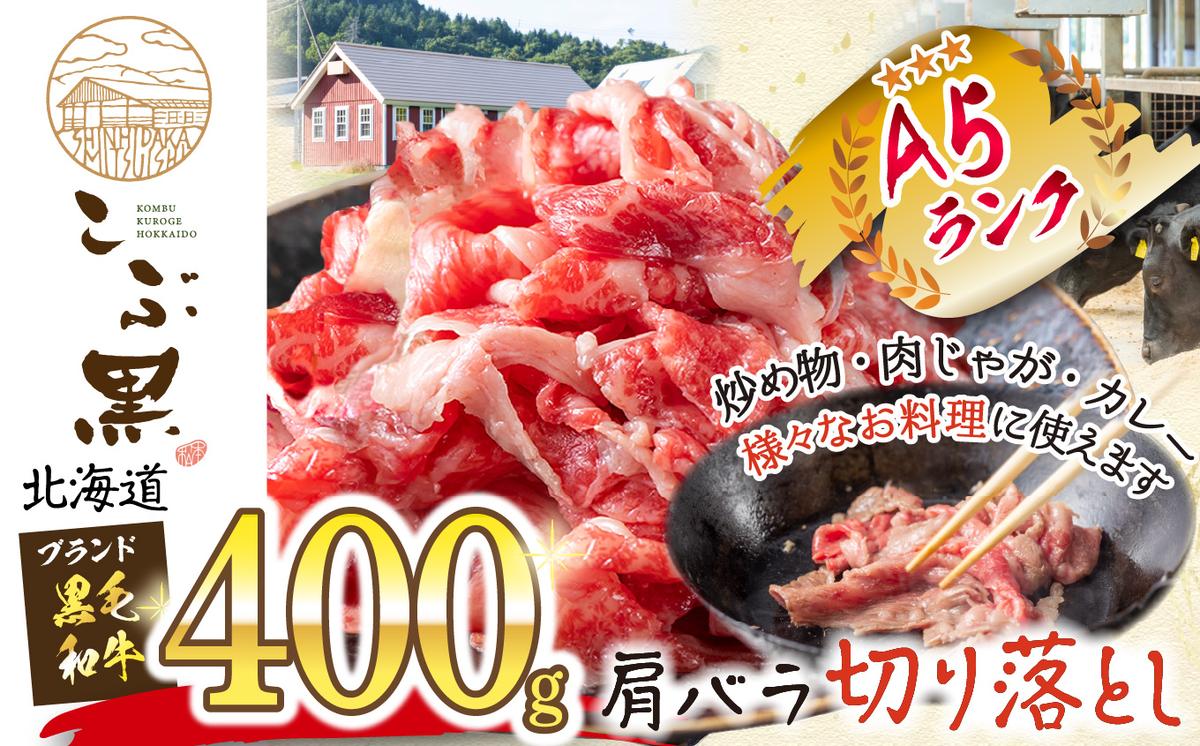 ykCVЂzkCY јa ԍ A5  o ؂藎Ƃ 400g
