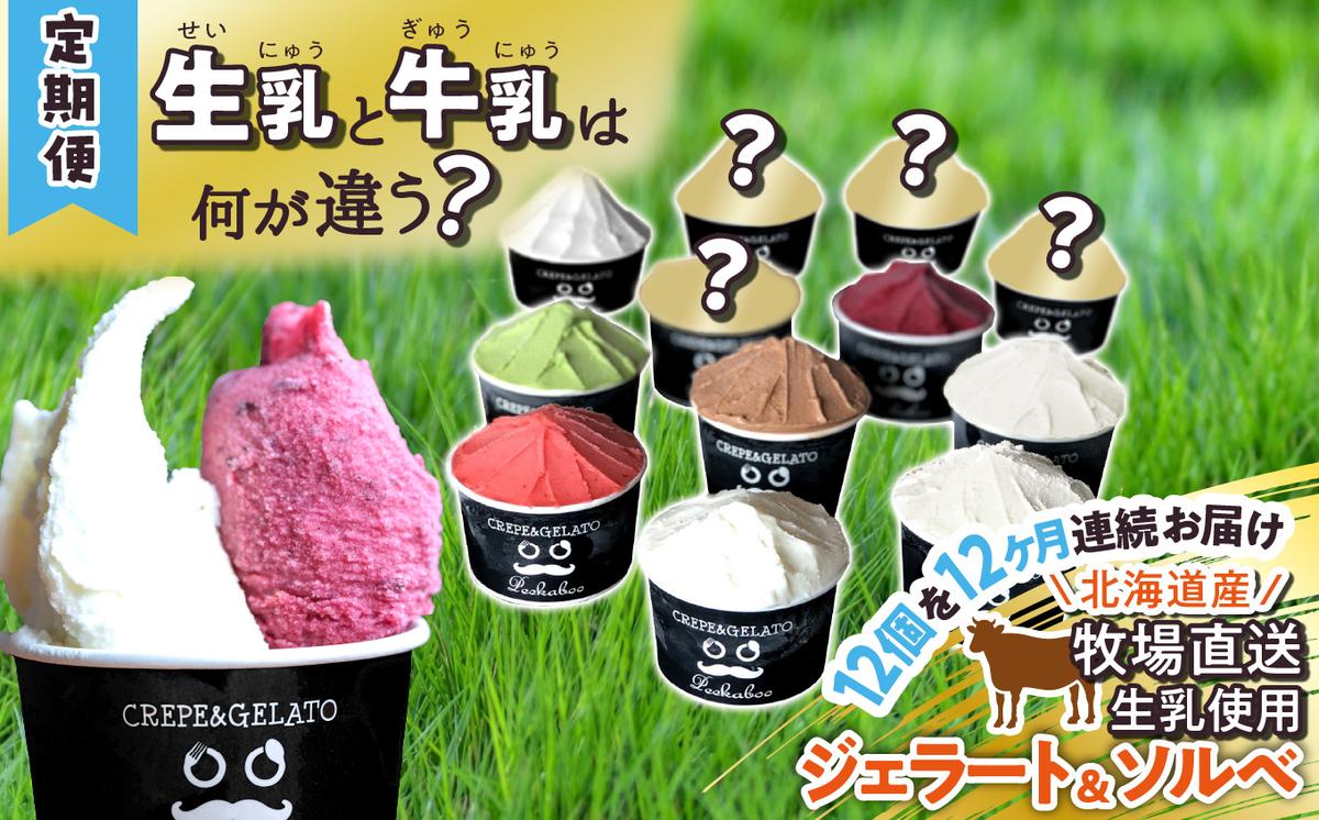 ＜12ヶ月定期便＞北海道産 生乳 ジェラート アイス 毎月12個  詰め合わせ ジェラートセット