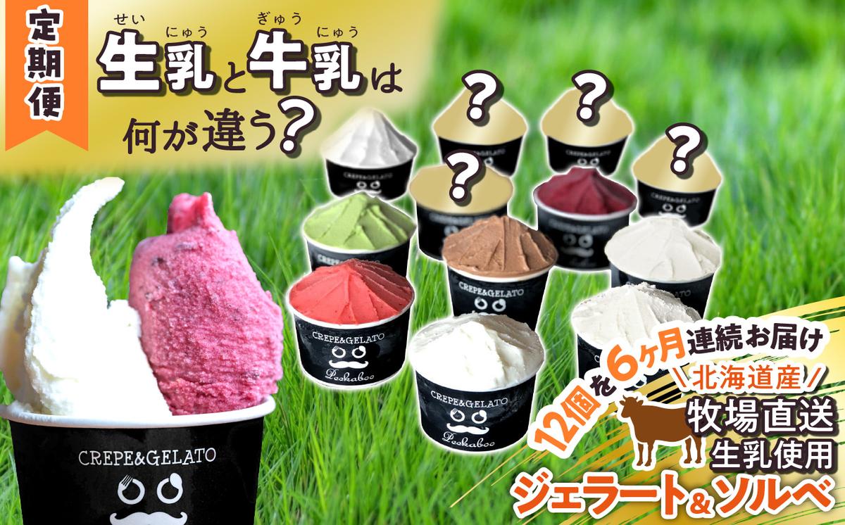 【北海道新ひだか町】<6ヶ月定期便>北海道産 生乳 ジェラート アイス 毎月12個  詰め合わせ ジェラートセット