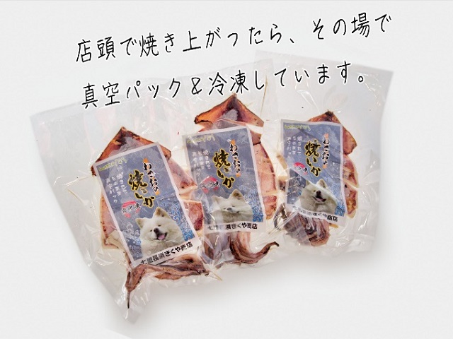 わさおの店の炭火焼きいか 3パック 200g以上×3枚 魚貝類 イカ 加工食品 
