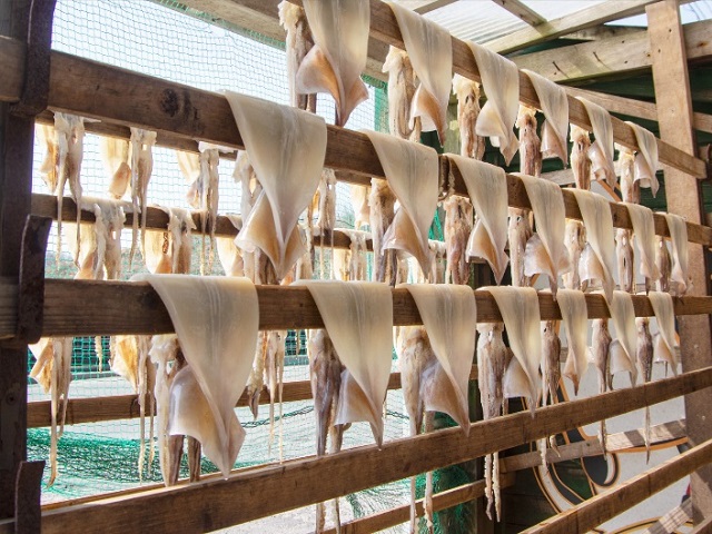 わさおの店の炭火焼きいか 5パック 200g以上×5枚 魚貝類 イカ 加工食品 