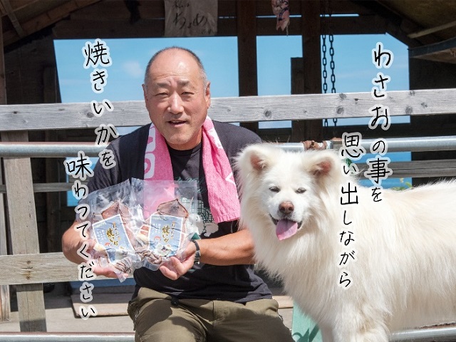 わさおの店の炭火焼きいか 4パック 200g以上×4枚 魚貝類 イカ 加工食品 