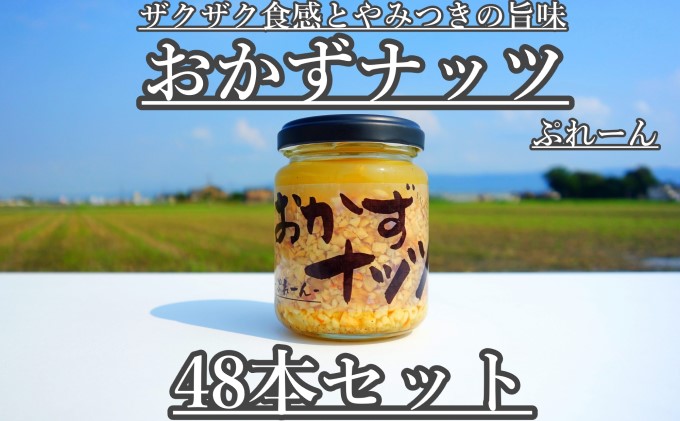 おかずナッツ ぷれーん 110g×48本 瓶詰 調味料 