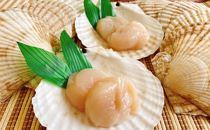 ☆使い道は様々☆ホタテの貝殻　15枚前後　 ほたて インテリア ハンドメイド 