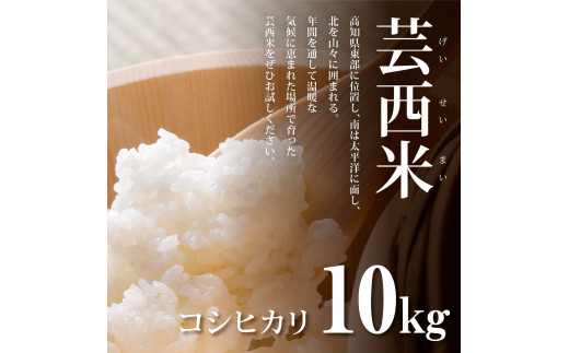 高知県芸西村のふるさと納税 KNK013-R7　新米 コシヒカリ 10kg (5kg×2袋) 芸西米 げいせいまい 令和7年産 10キロ 米 こめ コメ こしひかり 精米 白米 お米 おこめ ご飯 国産 通販 お取り寄せ 送料無料